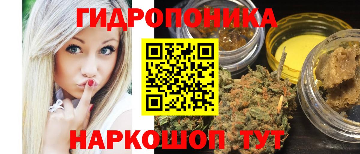 Конопля OG Kush Юрга